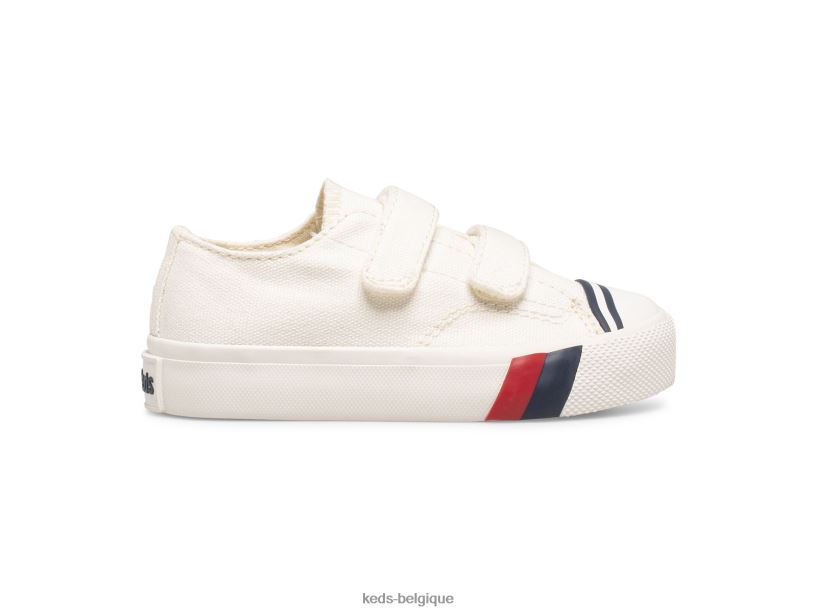 Keds grand enfant sneaker royal lo hl 8PV40P278 blanc