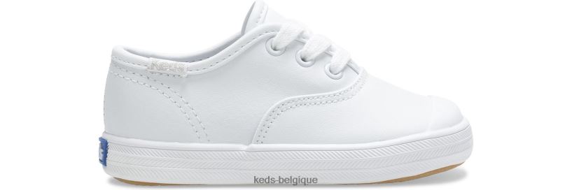 Keds petit enfant sneaker à bout renforcé champion 8PV40P231 cuir blanc